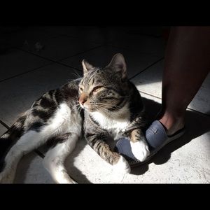 Meet your Posher, Carol